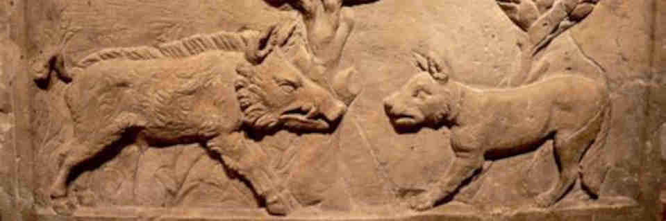 Close-up of a large antique bowl depicting a wild boar and a dog (resembling a Cane Corso) facing one another.